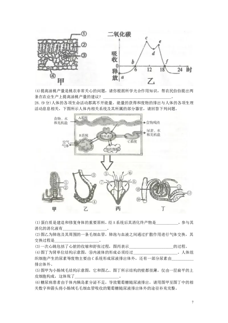 山东省临沂市2019年中考生物真题试题_8.生物中考真题2015-2024年_2019年全国中考生物92份