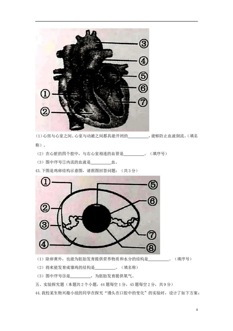 黑龙江省绥化市2018年中考生物真题试题（含答案）_8.生物中考真题2015-2024年_2018年全国中考生物141份