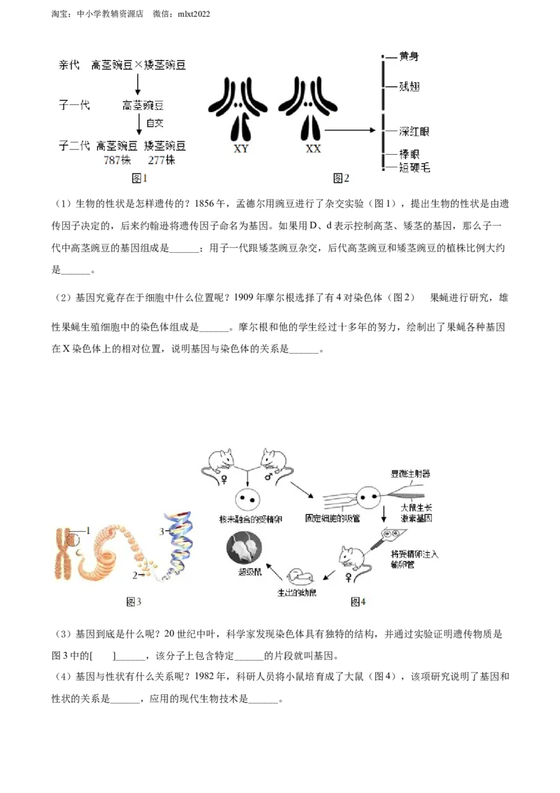精品解析：2022年山东省烟台中考生物真题（原卷版）_8.生物中考真题2015-2024年_地区卷_山东省_烟台中考生物08-22