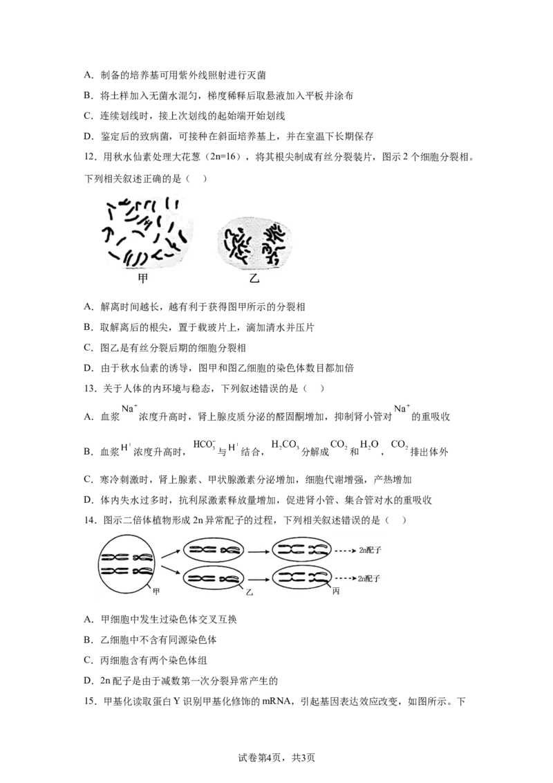 江苏2025年高考江苏卷生物高考真题文档版_1.高考2025全国各省真题+答案_9.高考生物真题答案更新中