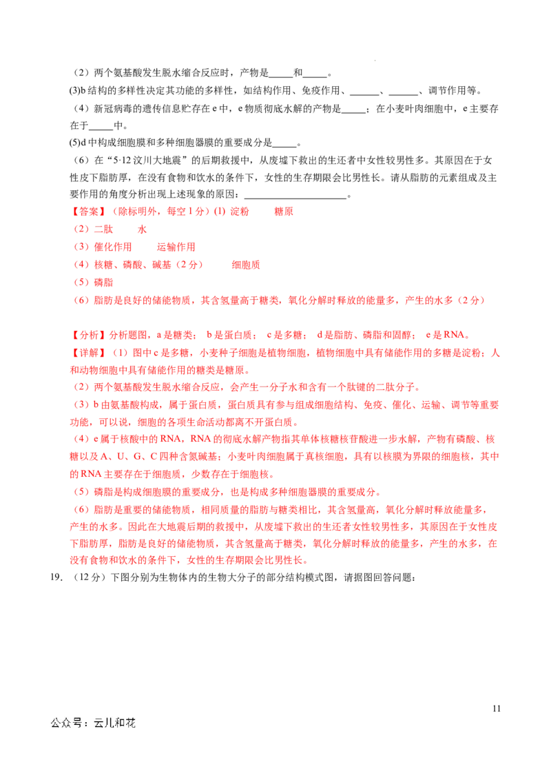 高一生物第一次月考卷（全解全析）（北京专用）_1多考区联考试卷_0924黄金卷：2024-2025学年高一上学期第一次月考9科word解析版含答题卡（北京专用）