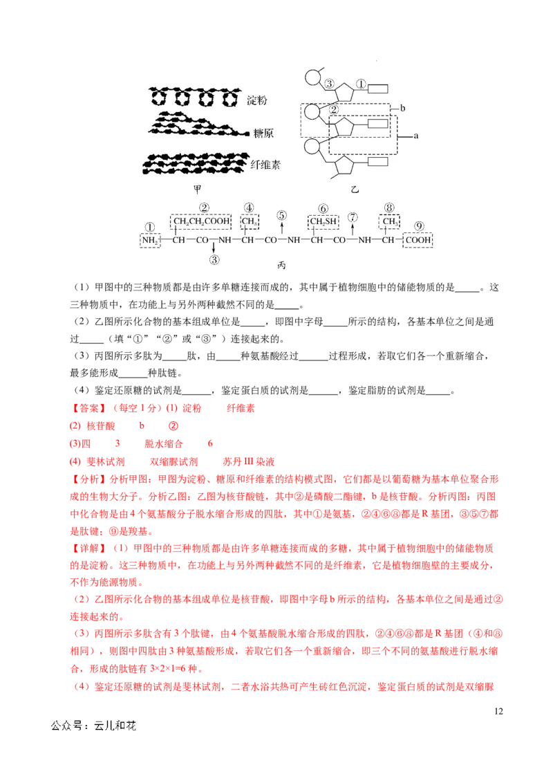 高一生物第一次月考卷（全解全析）（北京专用）_1多考区联考试卷_0924黄金卷：2024-2025学年高一上学期第一次月考9科word解析版含答题卡（北京专用）