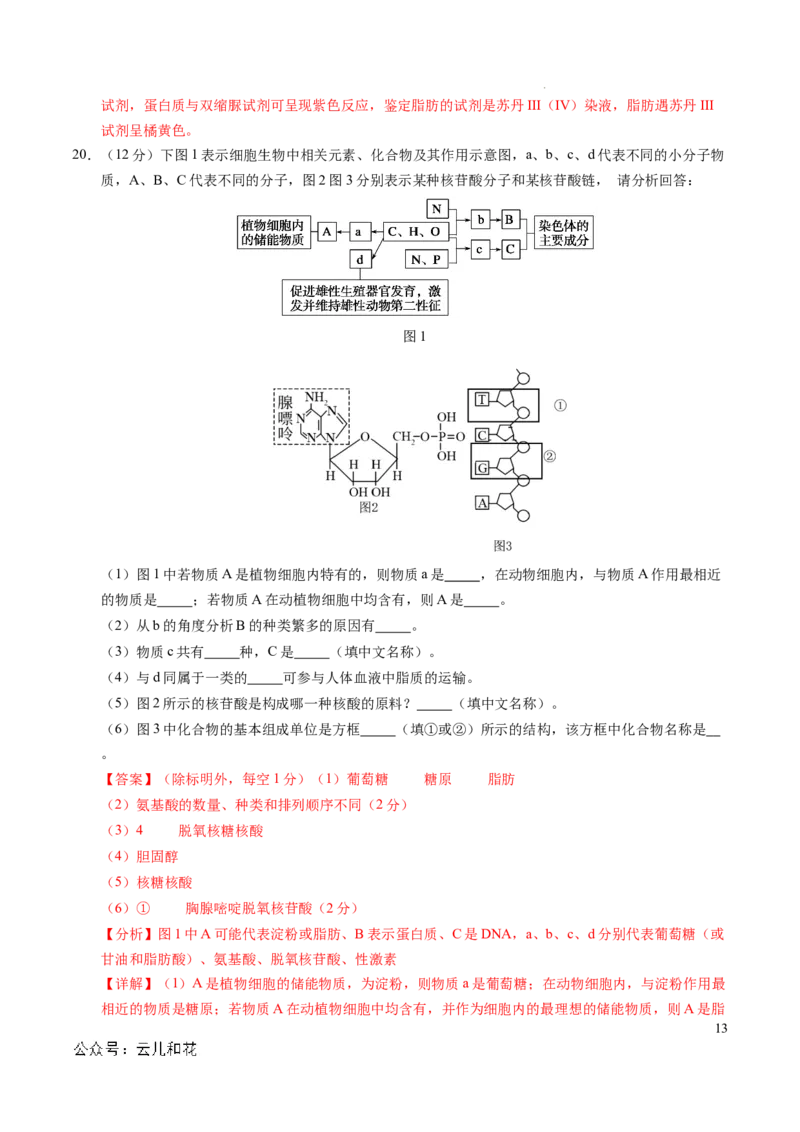 高一生物第一次月考卷（全解全析）（北京专用）_1多考区联考试卷_0924黄金卷：2024-2025学年高一上学期第一次月考9科word解析版含答题卡（北京专用）