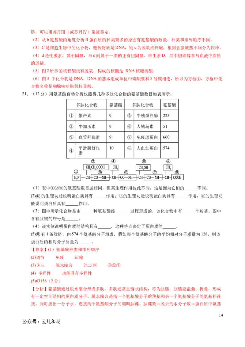 高一生物第一次月考卷（全解全析）（北京专用）_1多考区联考试卷_0924黄金卷：2024-2025学年高一上学期第一次月考9科word解析版含答题卡（北京专用）