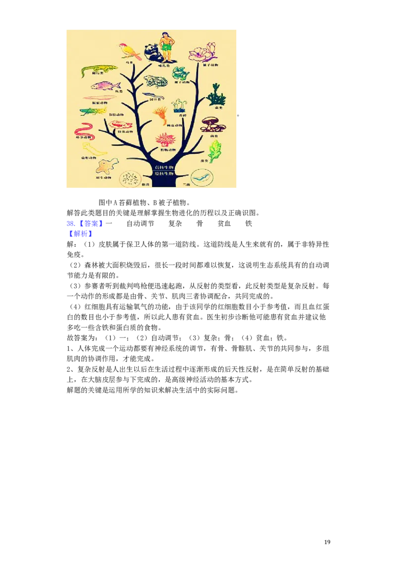 湖南省衡阳市2019年中考生物真题试题（含解析）_8.生物中考真题2015-2024年_2019年全国中考生物92份