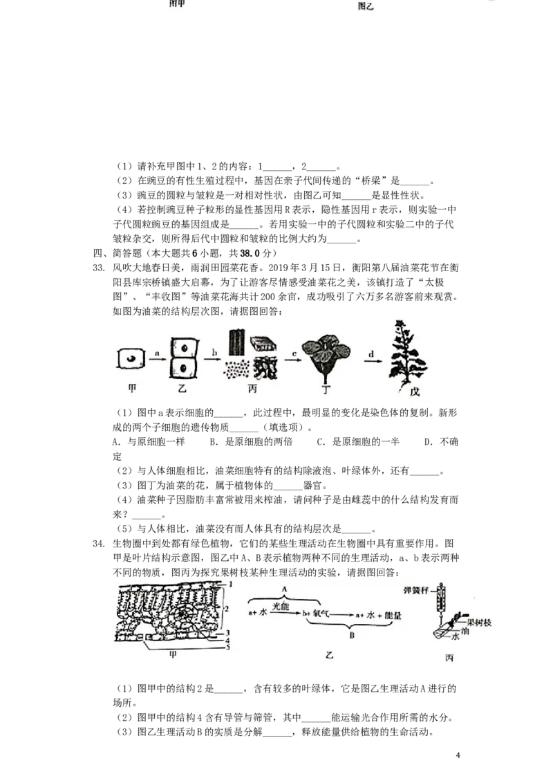 湖南省衡阳市2019年中考生物真题试题（含解析）_8.生物中考真题2015-2024年_2019年全国中考生物92份
