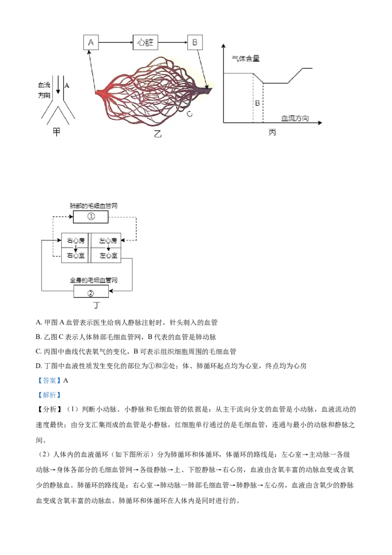 精品解析：湖北省恩施州2021年中考生物试题（解析版）_8.生物中考真题2015-2024年_2021中考生物真题64份_2021湖北_精品解析：湖北省恩施州2021年中考生物试题