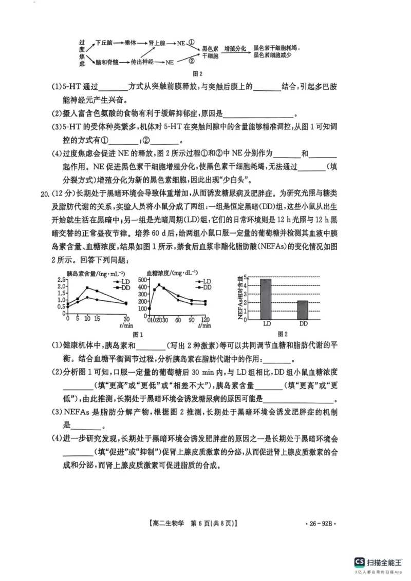河北省邢台市质检联盟2025-2026学年高二上学期期中考试11月月考生物试题_251205河北省邢台市质检联盟2025-2026学年高二上学期11月期中