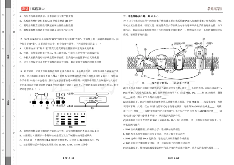 (8.28)-点睛押题卷&mdash;&mdash;江苏卷_2024高考押题卷_132024高途全系列_26高途点睛卷_2024点睛密卷-生物