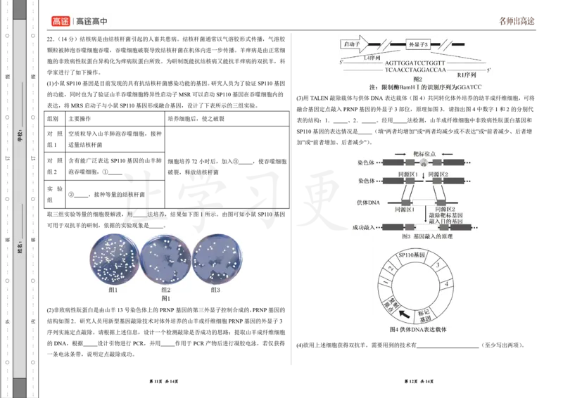 (8.28)-点睛押题卷&mdash;&mdash;江苏卷_2024高考押题卷_132024高途全系列_26高途点睛卷_2024点睛密卷-生物