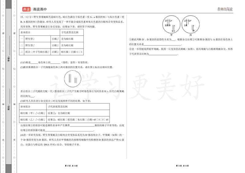 (8.28)-点睛押题卷&mdash;&mdash;江苏卷_2024高考押题卷_132024高途全系列_26高途点睛卷_2024点睛密卷-生物