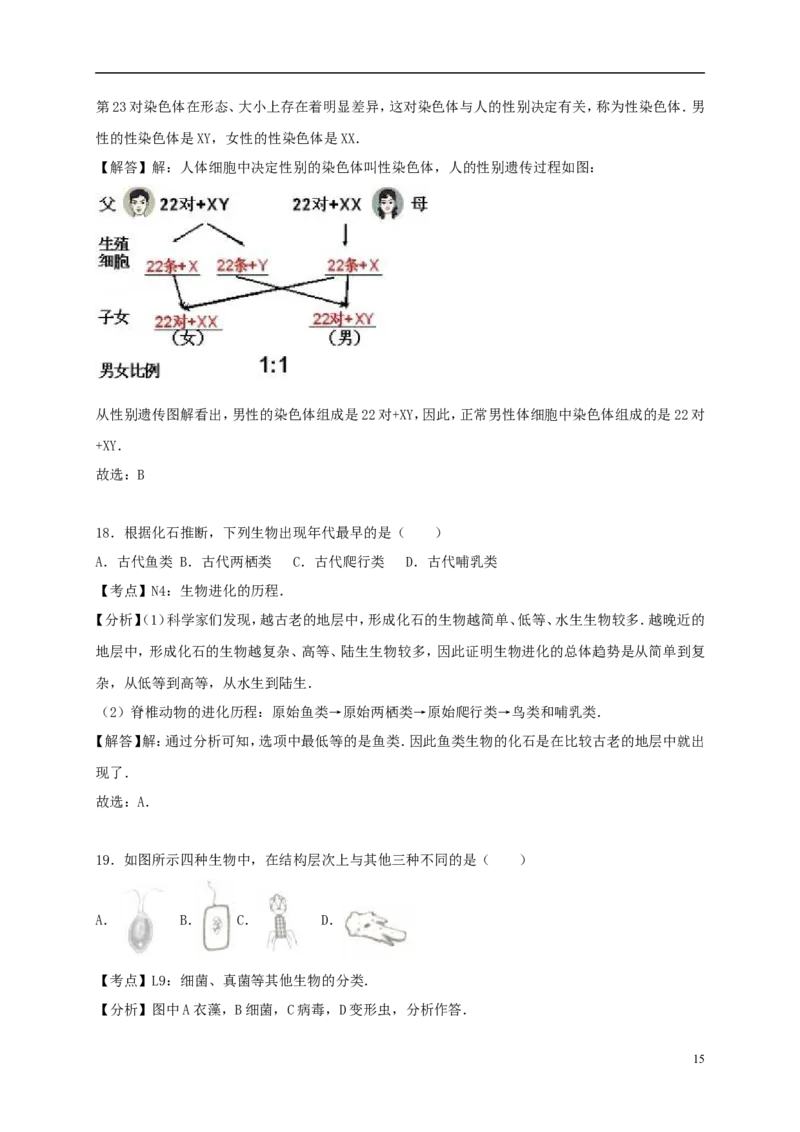 湖南省岳阳市2017年中考生物真题试题（含解析）_8.生物中考真题2015-2024年_2017年全国中考生物124份