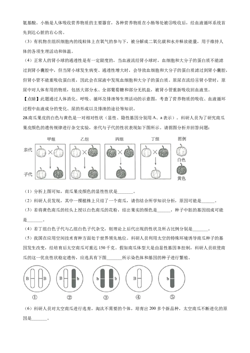 精品解析：山东省滨州市2020年中考生物试题（解析版）_8.生物中考真题2015-2024年_2020生物真题74份_2020年中考真题精品解析生物（山东滨州卷）精编word版