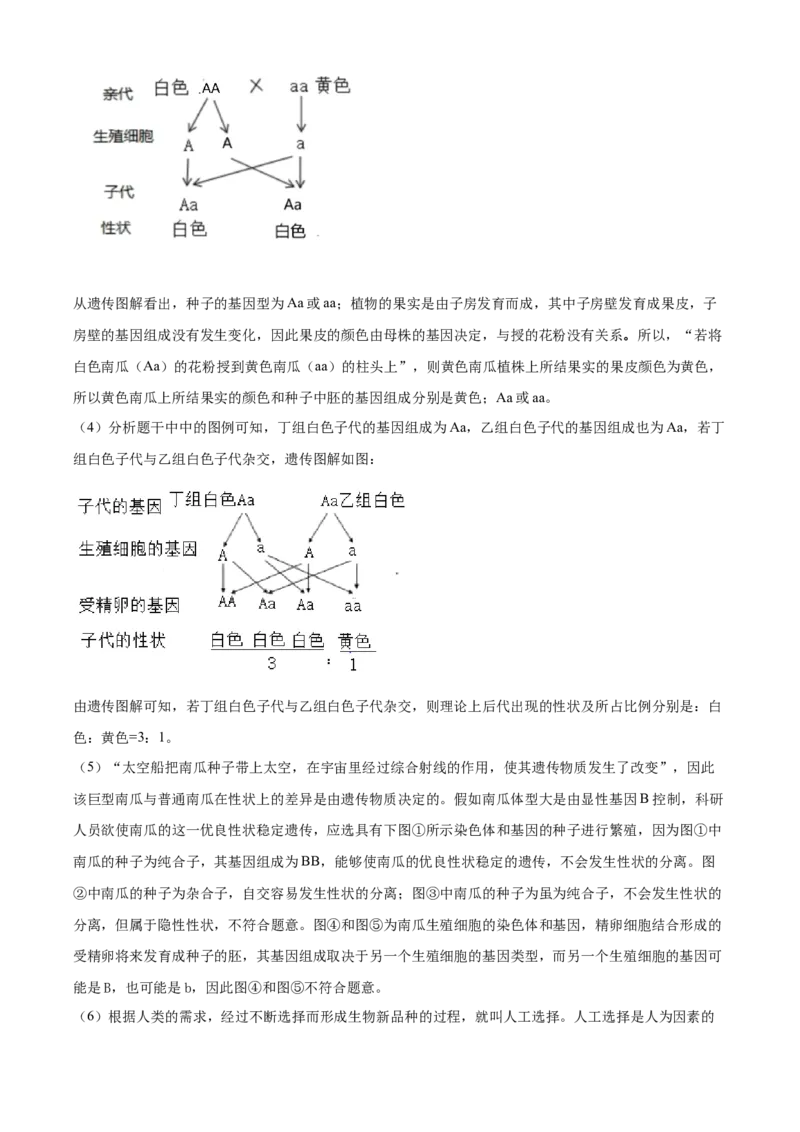 精品解析：山东省滨州市2020年中考生物试题（解析版）_8.生物中考真题2015-2024年_2020生物真题74份_2020年中考真题精品解析生物（山东滨州卷）精编word版