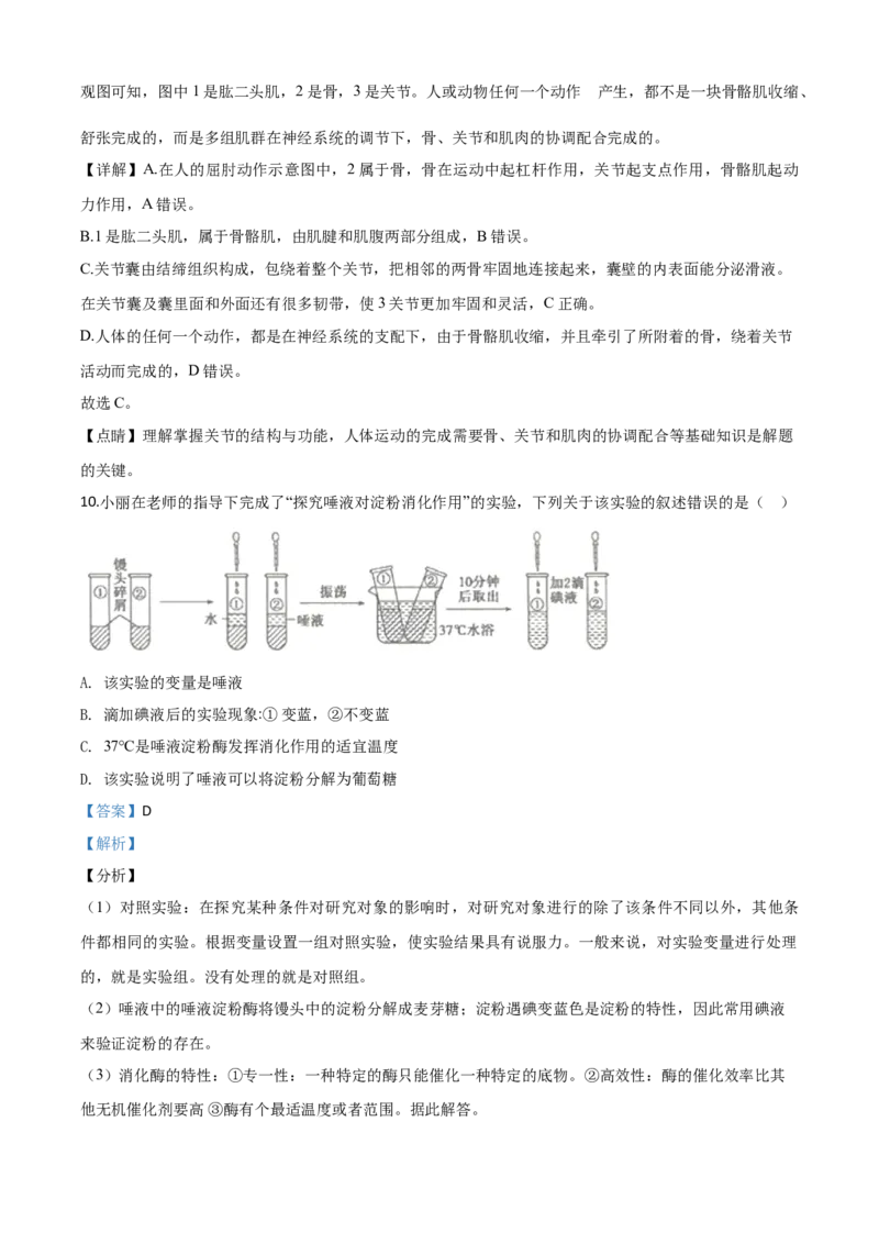 精品解析：山东省滨州市2020年中考生物试题（解析版）_8.生物中考真题2015-2024年_2020生物真题74份_2020年中考真题精品解析生物（山东滨州卷）精编word版
