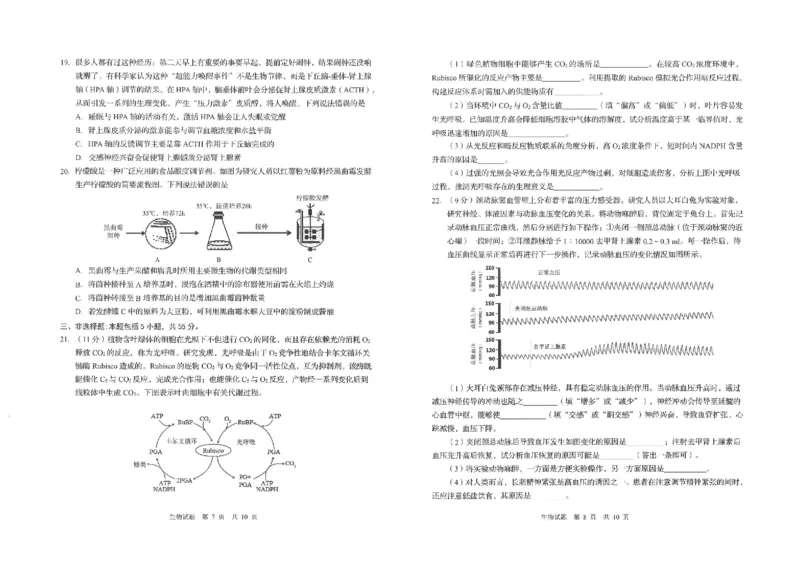 青岛市2024年高三一模生物试题_2024年3月_013月合集_2024届山东省青岛市高三年级第一次适应性检测_青岛市2024年高三年级第一次适应性检测（青岛一摸）生物