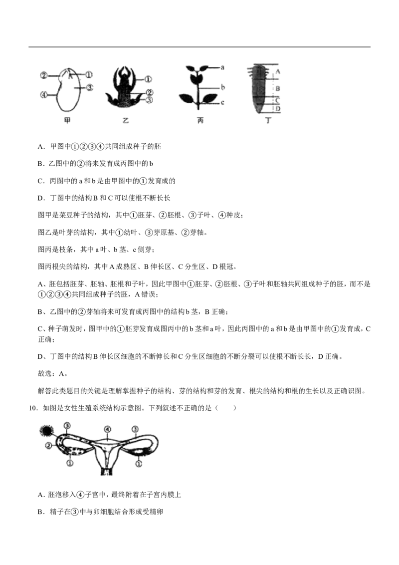 山东省临沂市2020年初中学业考试生物试题_8.生物中考真题2015-2024年_地区卷_山东省_临沂生物08-22_临沂生物