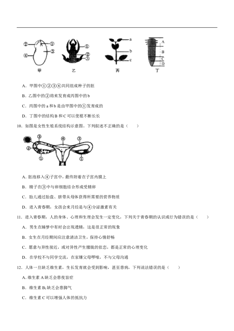 山东省临沂市2020年初中学业考试生物试题_8.生物中考真题2015-2024年_地区卷_山东省_临沂生物08-22_临沂生物