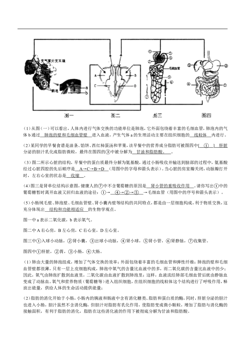 山东省临沂市2020年初中学业考试生物试题_8.生物中考真题2015-2024年_地区卷_山东省_临沂生物08-22_临沂生物