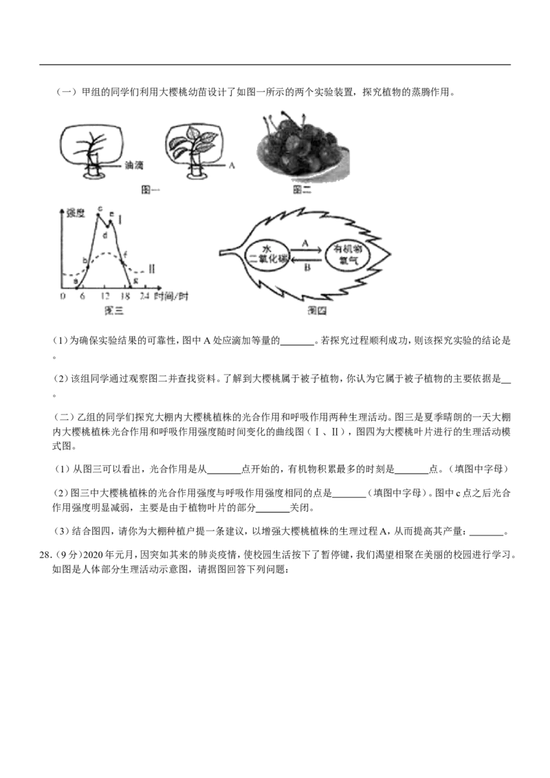 山东省临沂市2020年初中学业考试生物试题_8.生物中考真题2015-2024年_地区卷_山东省_临沂生物08-22_临沂生物