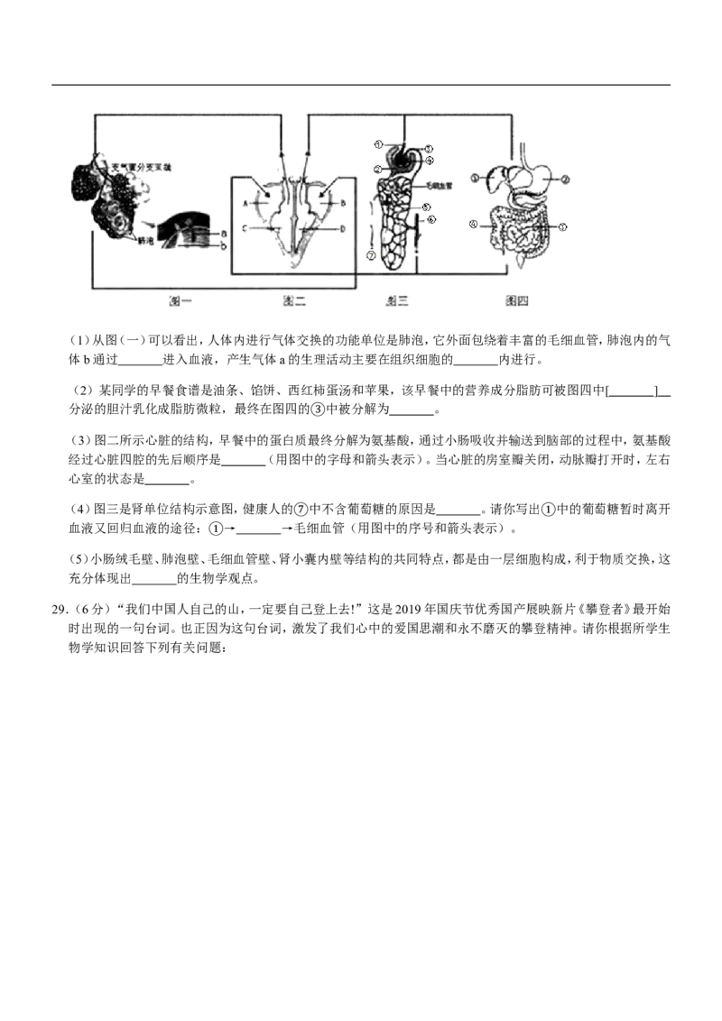 山东省临沂市2020年初中学业考试生物试题_8.生物中考真题2015-2024年_地区卷_山东省_临沂生物08-22_临沂生物