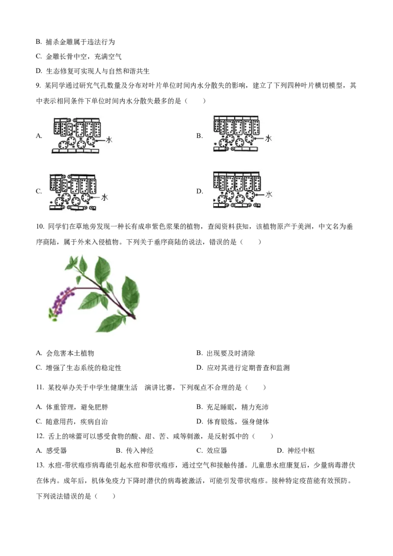2025年河北省中考生物真题闲鱼号：非凡小翊（原卷版）_河北省历年中考真题_生物历年中考真题