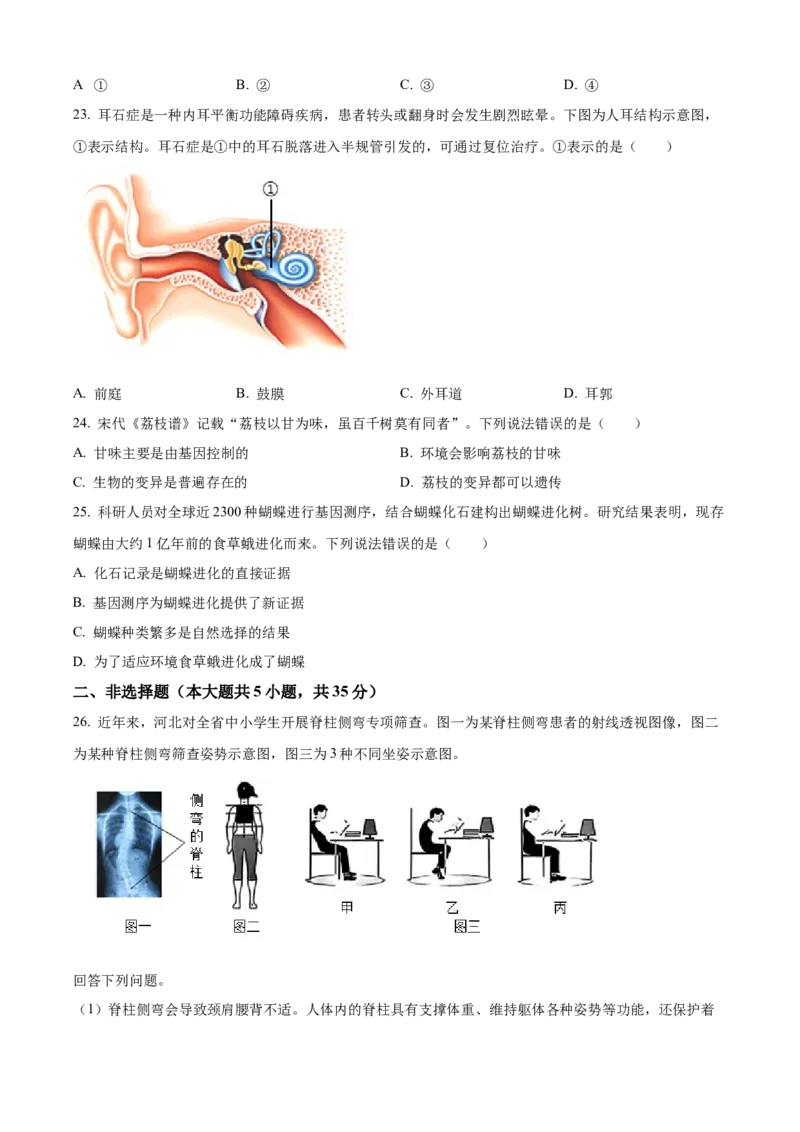 2025年河北省中考生物真题闲鱼号：非凡小翊（原卷版）_河北省历年中考真题_生物历年中考真题
