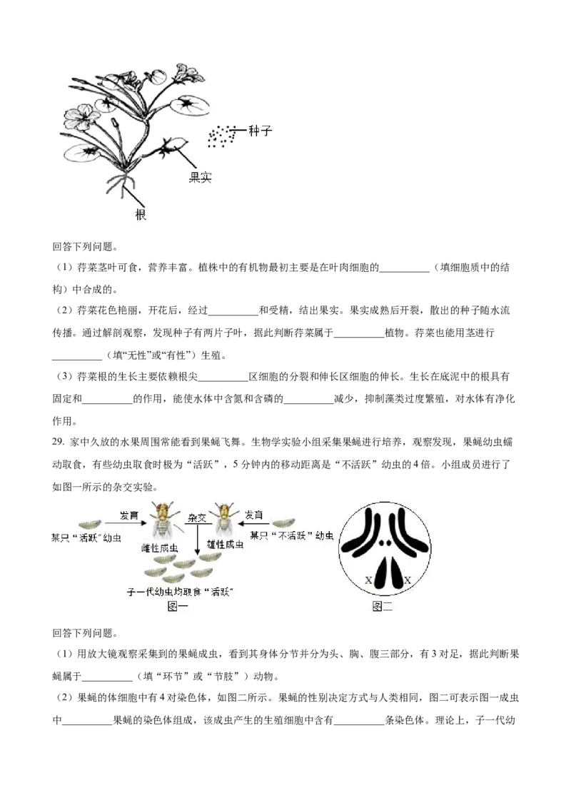 2025年河北省中考生物真题闲鱼号：非凡小翊（原卷版）_河北省历年中考真题_生物历年中考真题