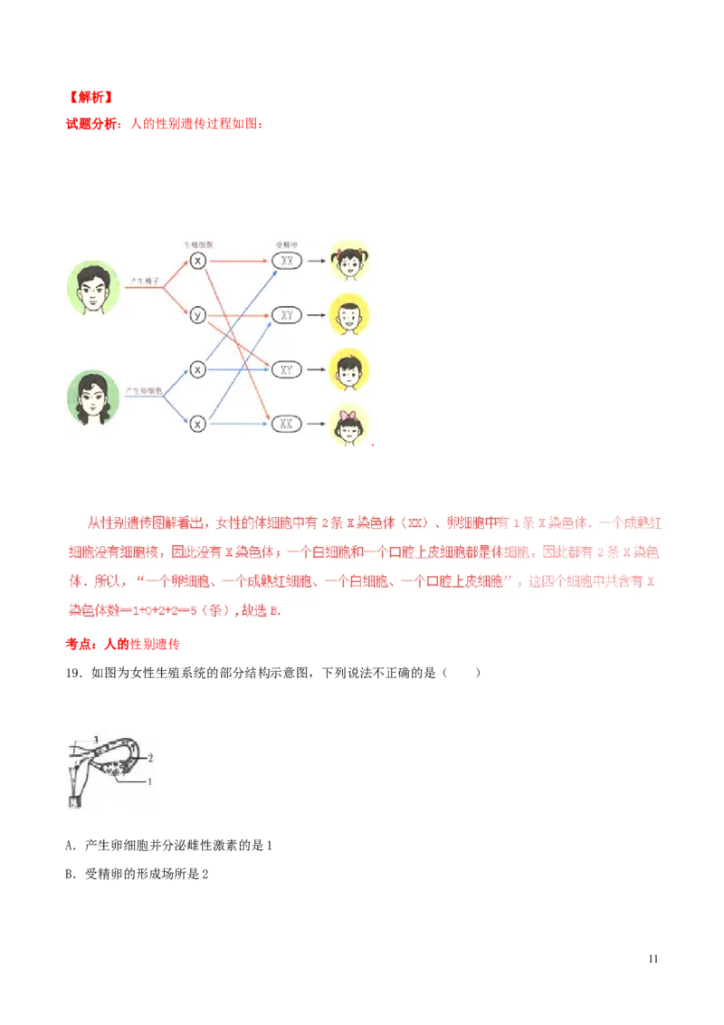 山东省东营市2016年中考生物真题（含解析）_8.生物中考真题2015-2024年_2016年全国中考生物74份