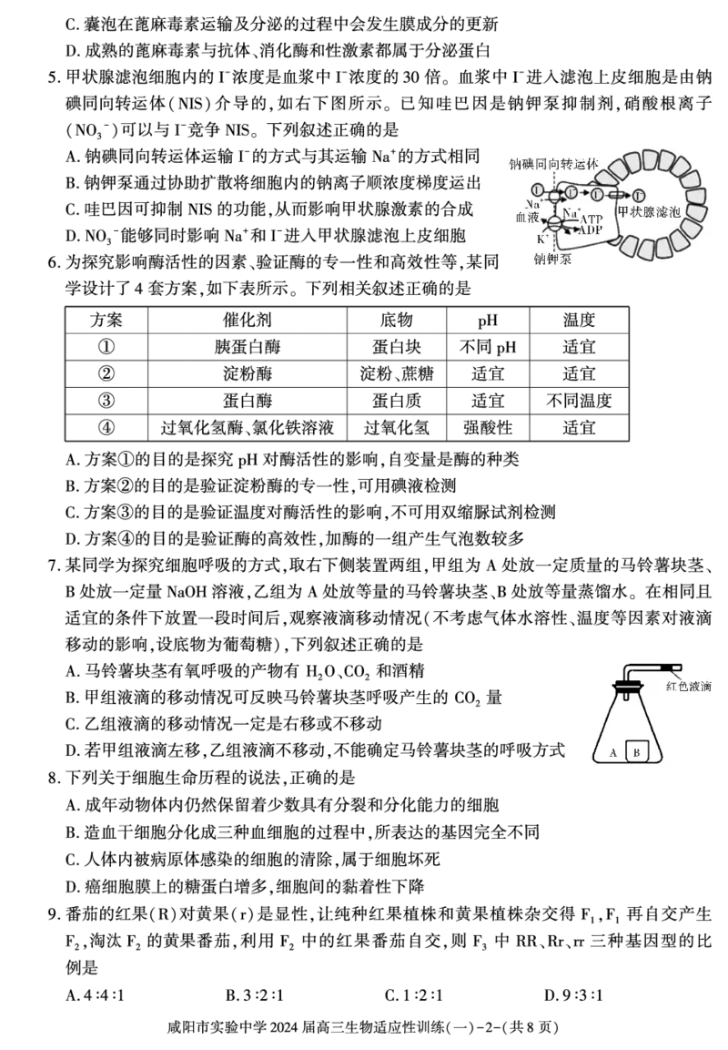 陕西省咸阳市实验中学2022-2023学年高三下学期适应训练（一）生物试题_2024年2月_01每日更新_21号_2024届陕西省咸阳市实验中学高三下学期适应训练（一）