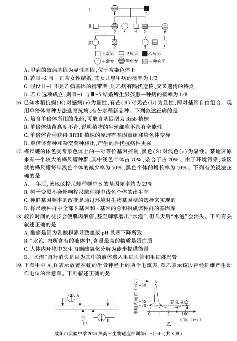 陕西省咸阳市实验中学2022-2023学年高三下学期适应训练（一）生物试题_2024年2月_01每日更新_21号_2024届陕西省咸阳市实验中学高三下学期适应训练（一）
