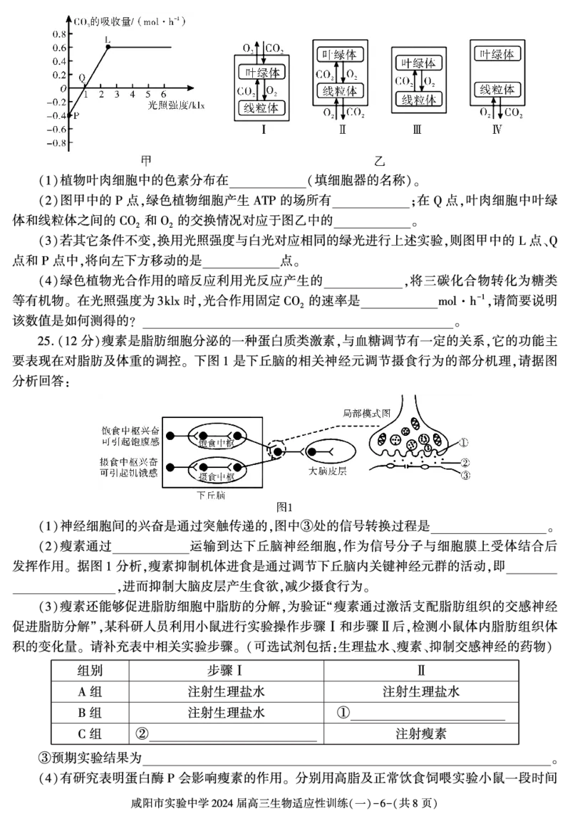 陕西省咸阳市实验中学2022-2023学年高三下学期适应训练（一）生物试题_2024年2月_01每日更新_21号_2024届陕西省咸阳市实验中学高三下学期适应训练（一）