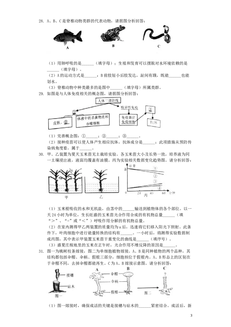 湖南省岳阳市2019年中考生物真题试题（含解析）_8.生物中考真题2015-2024年_2019年全国中考生物92份