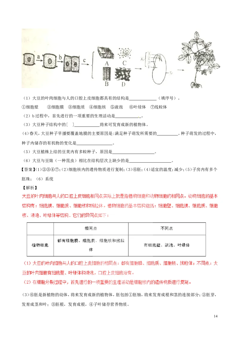 山东省滨州市2017年中考生物真题试题（含解析）_8.生物中考真题2015-2024年_2017年全国中考生物124份