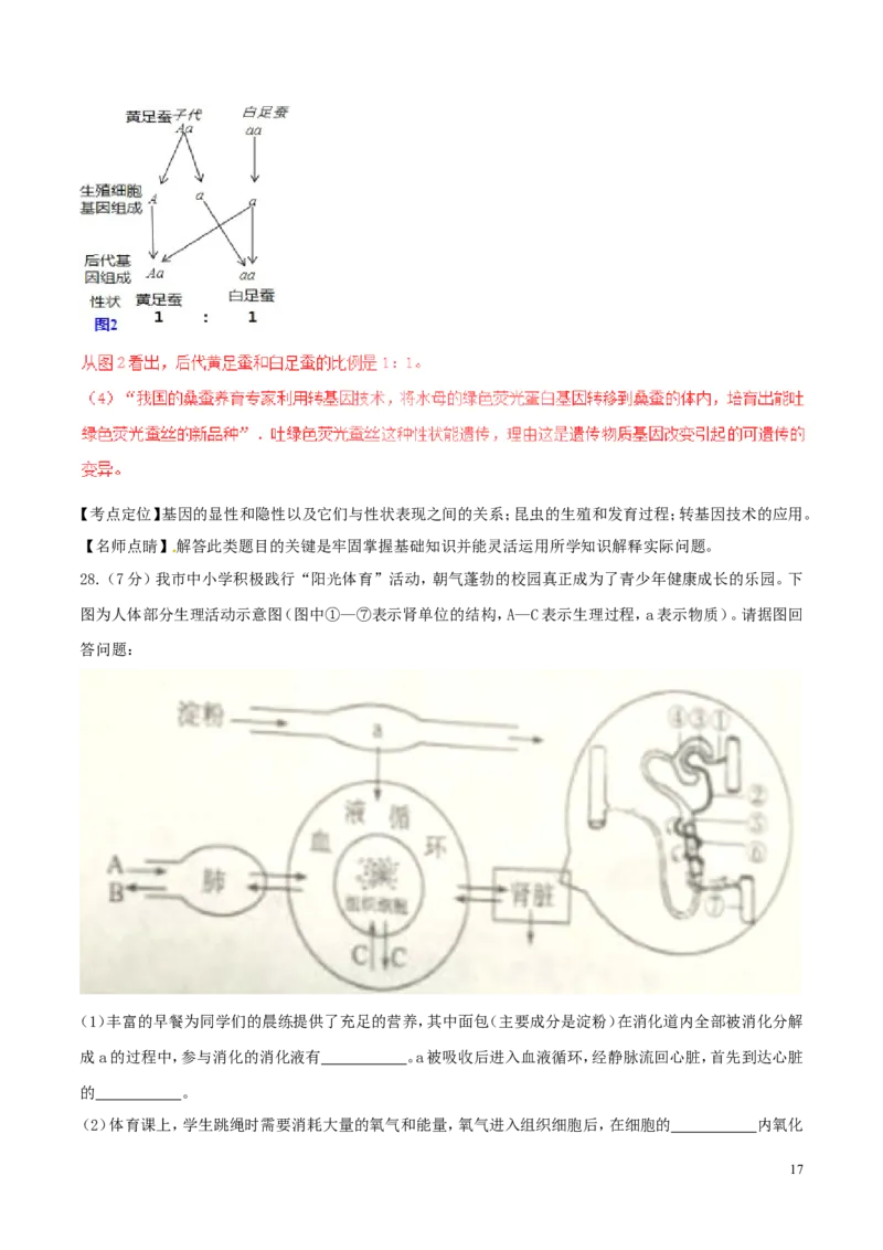 山东省滨州市2017年中考生物真题试题（含解析）_8.生物中考真题2015-2024年_2017年全国中考生物124份