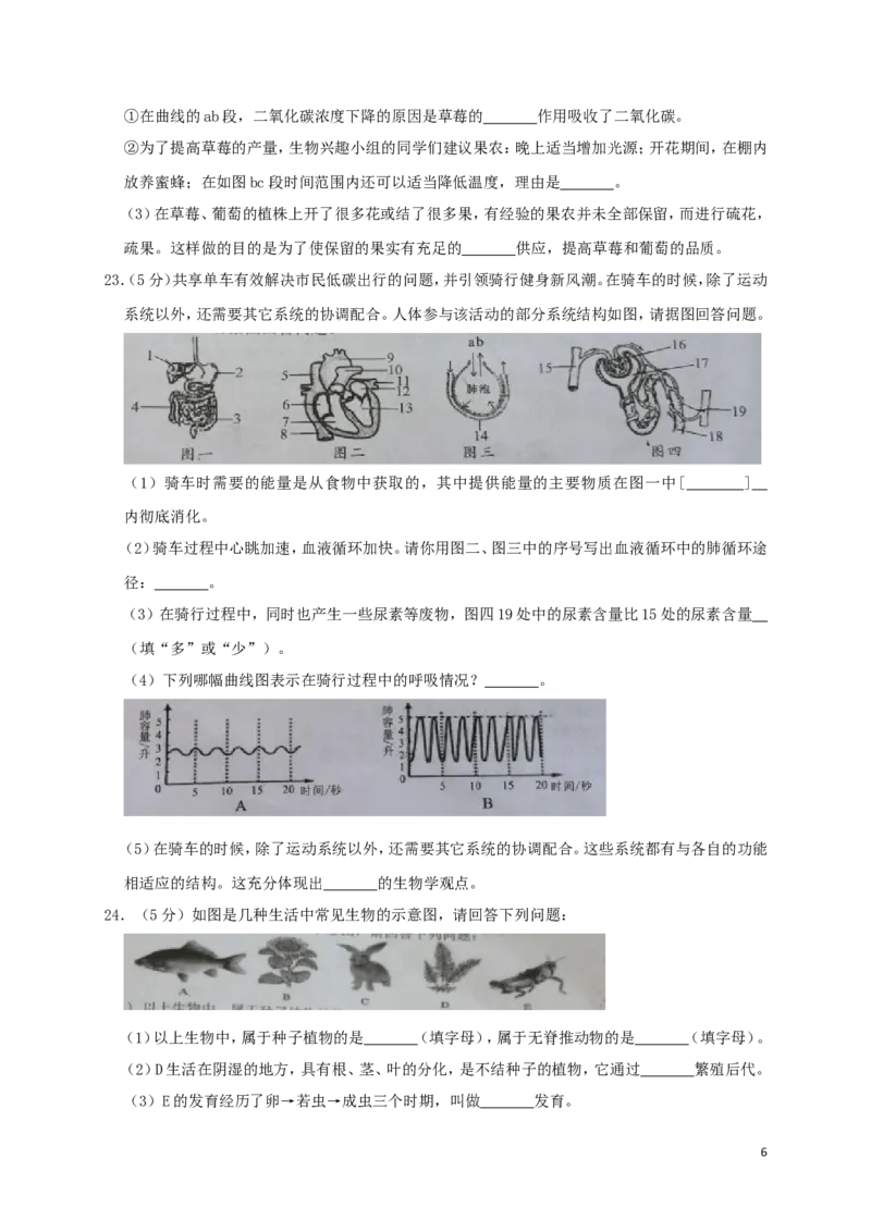 湖南省张家界市2019年中考生物真题试题_8.生物中考真题2015-2024年_2019年全国中考生物92份