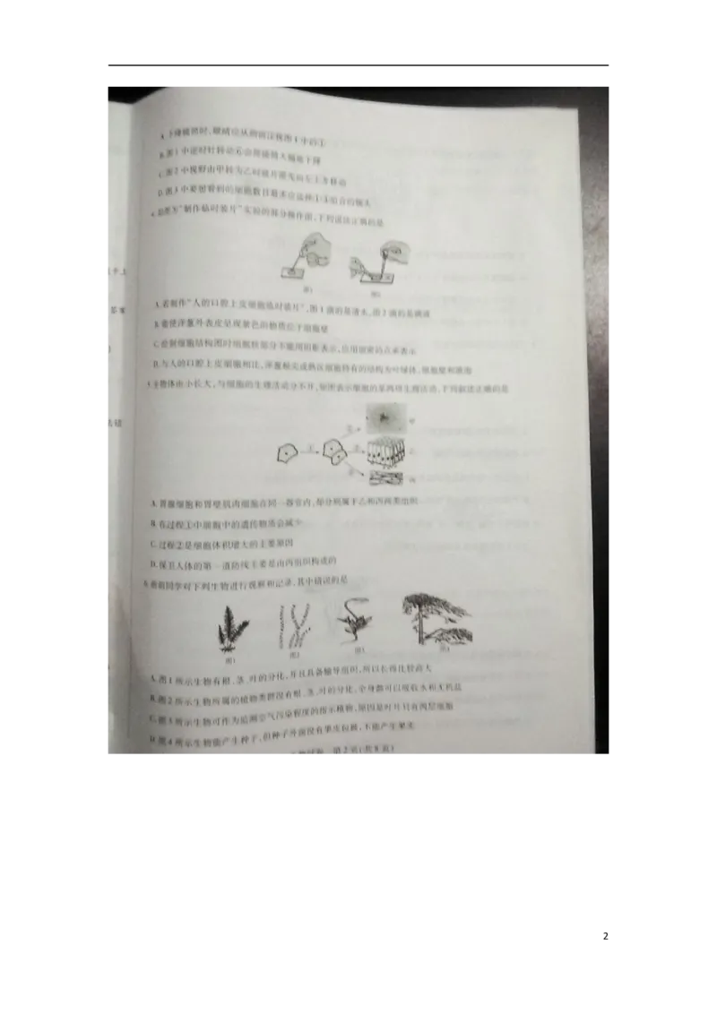 河南省新乡市2018年中考生物真题试题（扫描版，含答案）_8.生物中考真题2015-2024年_2018年全国中考生物141份