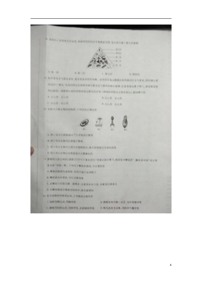 河南省新乡市2018年中考生物真题试题（扫描版，含答案）_8.生物中考真题2015-2024年_2018年全国中考生物141份