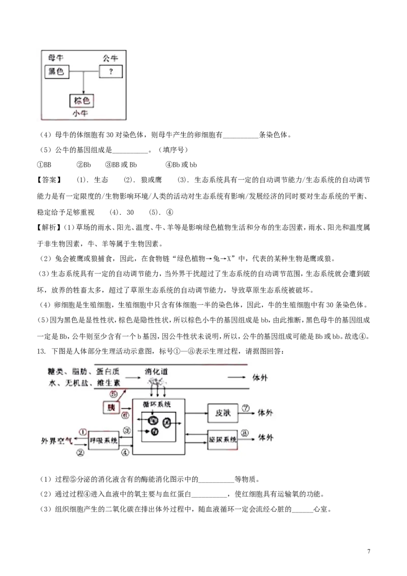 湖北省黄冈市2018年中考生物真题试题（含解析）_8.生物中考真题2015-2024年_2018年全国中考生物141份