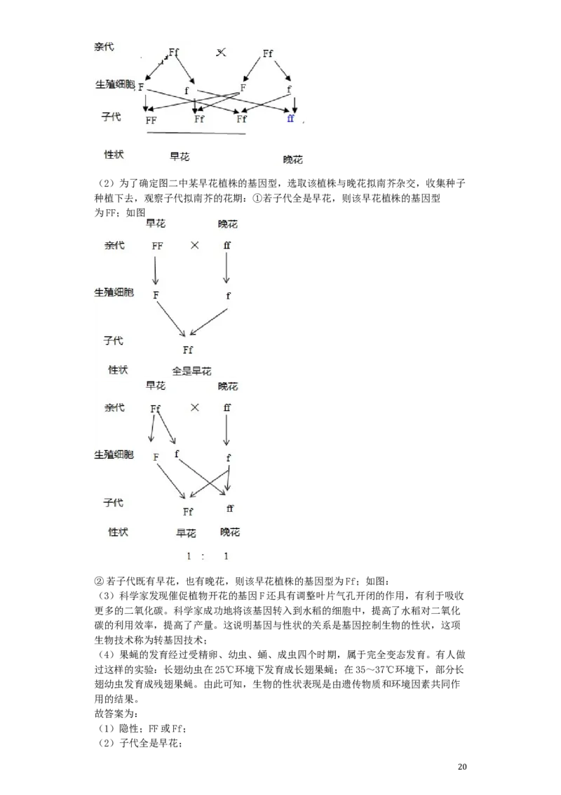 山东省临沂市2019年中考生物真题试题（含解析）_8.生物中考真题2015-2024年_2019年全国中考生物92份