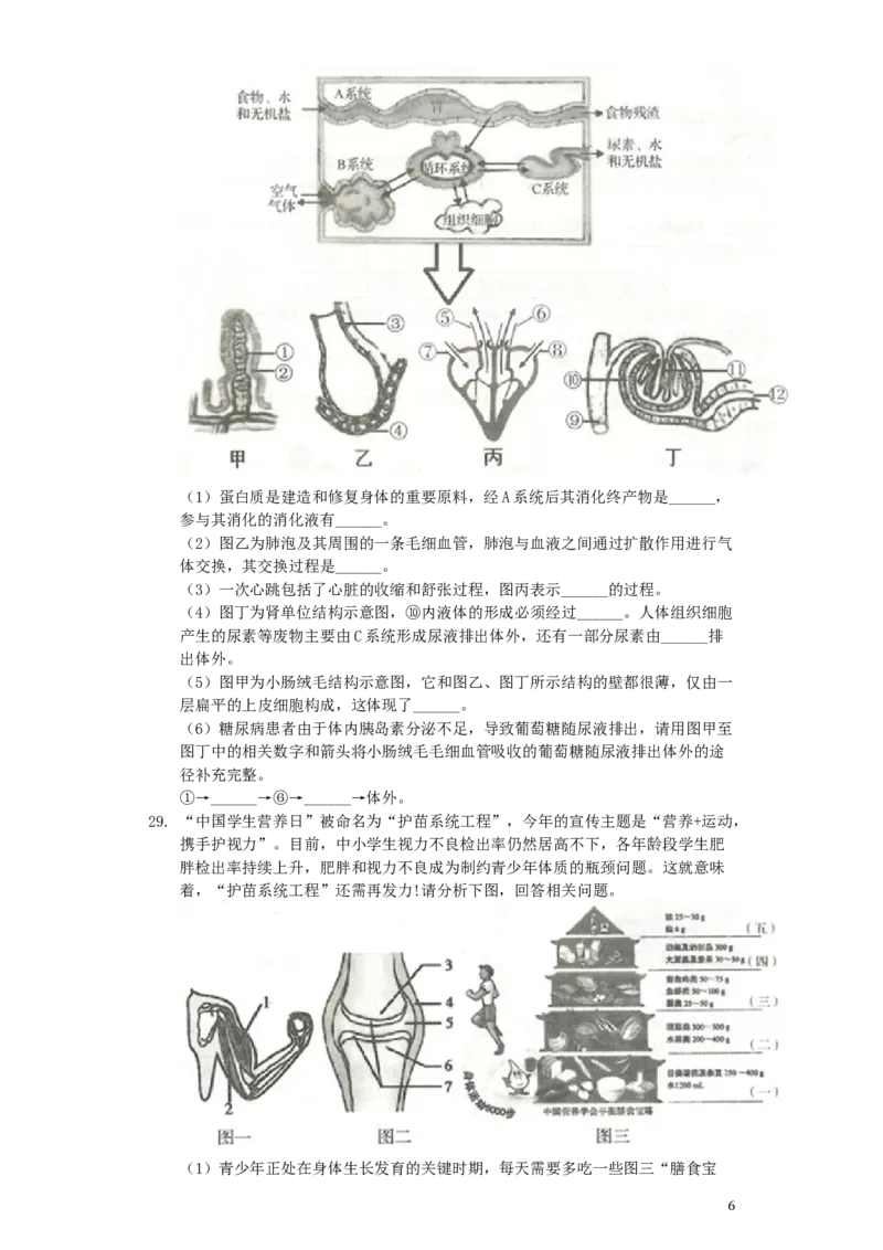 山东省临沂市2019年中考生物真题试题（含解析）_8.生物中考真题2015-2024年_2019年全国中考生物92份