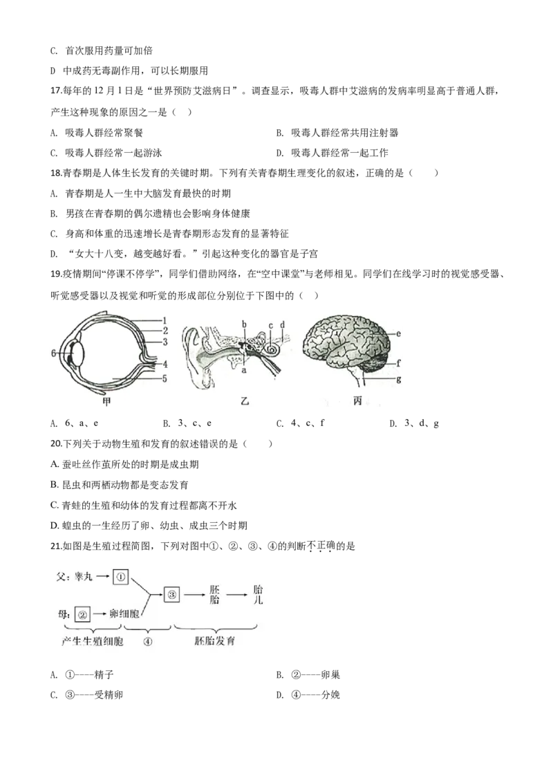 精品解析：山东省滨州市2020年中考生物试题（原卷版）_8.生物中考真题2015-2024年_2020生物真题74份_2020年中考真题精品解析生物（山东滨州卷）精编word版