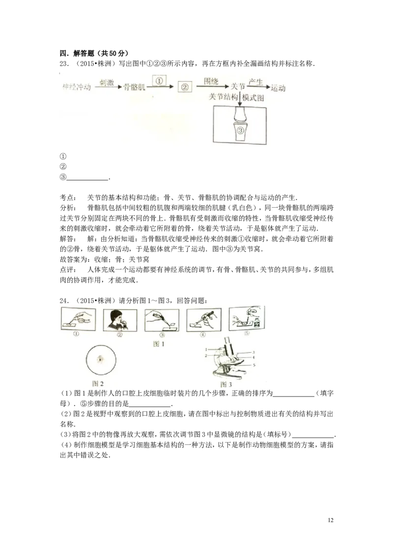 湖南省株洲市2015年中考生物真题试题（含解析）_8.生物中考真题2015-2024年_2015年全国中考生物74份
