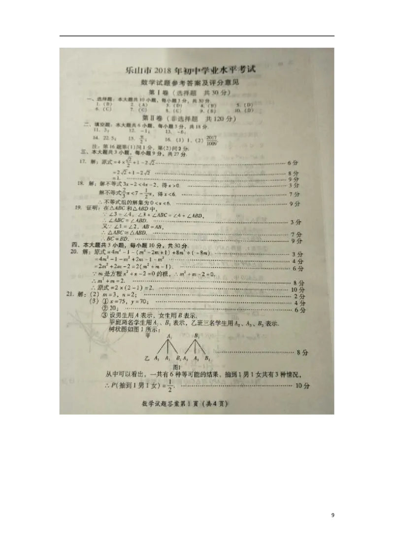 四川省乐山市2018年中考数学真题试题（扫描版，含答案）_中考真题_2.数学中考真题2015-2024年_2018年全国中考数学258份