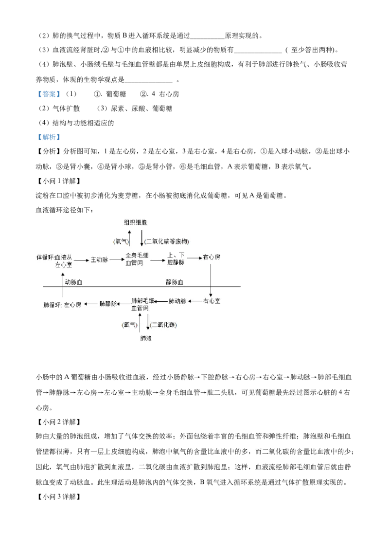 精品解析：2022年湖北省恩施州中考生物真题（解析版）_8.生物中考真题2015-2024年_2022年全国中考生物114份14