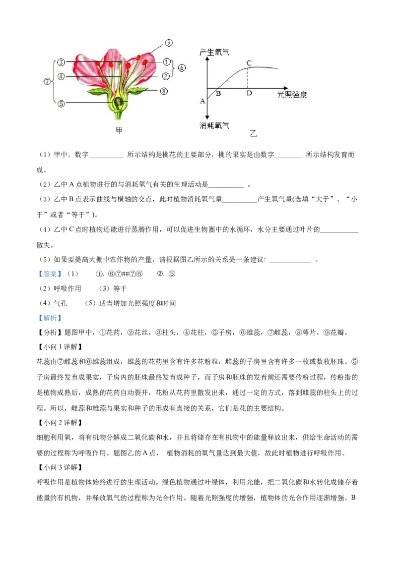 精品解析：2022年湖北省恩施州中考生物真题（解析版）_8.生物中考真题2015-2024年_2022年全国中考生物114份14