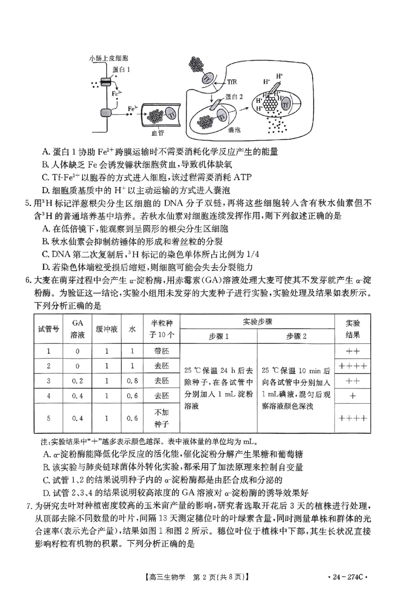 驻马店市2023-2024学年度第一学期期终考试高三生物试题_2024年2月_01每日更新_03号_2024届河南省驻马店市高三上学期期末考试_河南省驻马店市2024届高三上学期期末考试生物