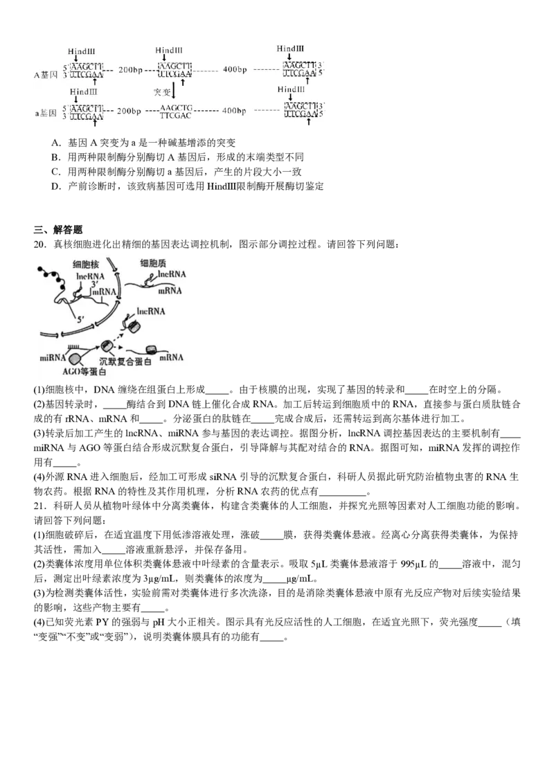 江苏生物-试题_1.高考2025全国各省真题+答案_00.2025各省市高考真题及答案（按省份分类）_5、江苏卷（9科全）_6.生物