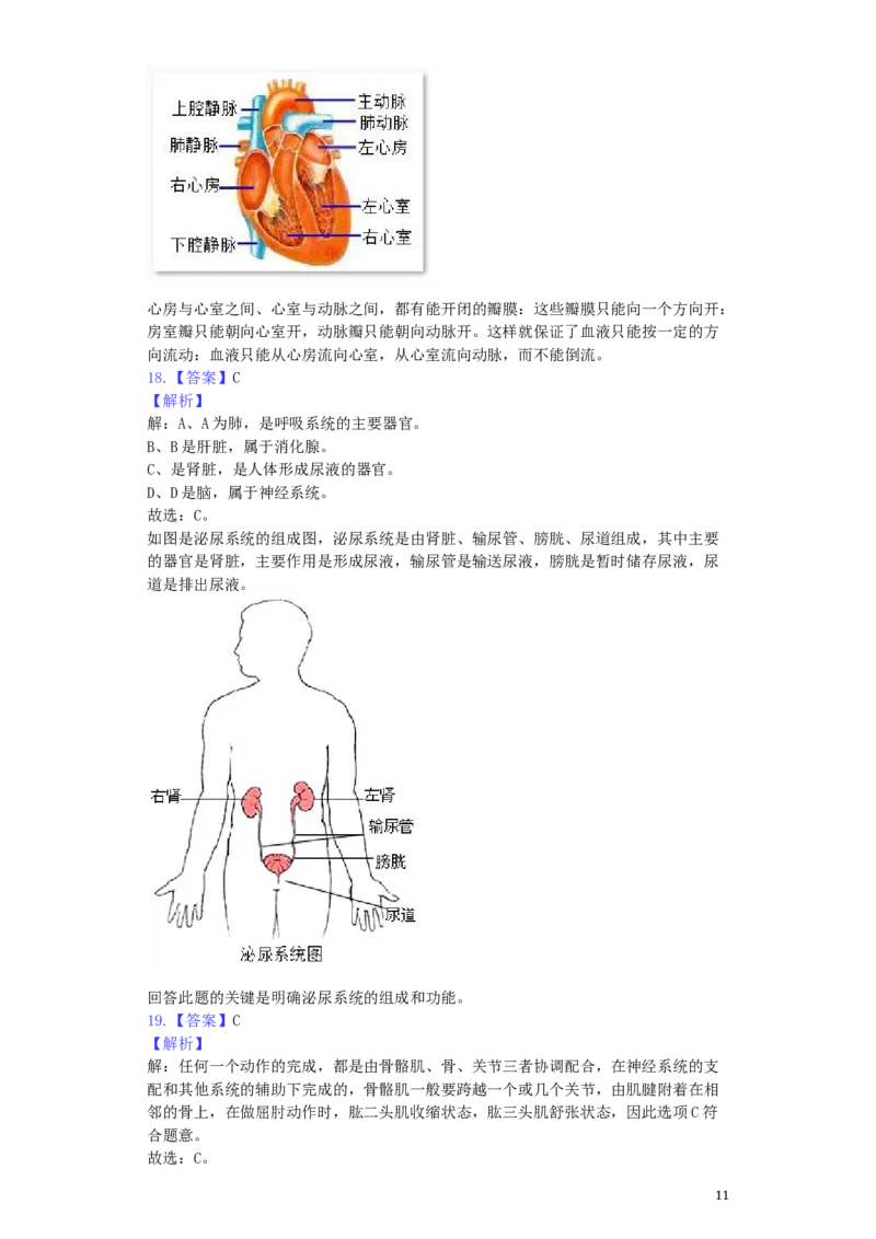河南省开封市2019年中考生物真题试题（含解析）_8.生物中考真题2015-2024年_2019年全国中考生物92份