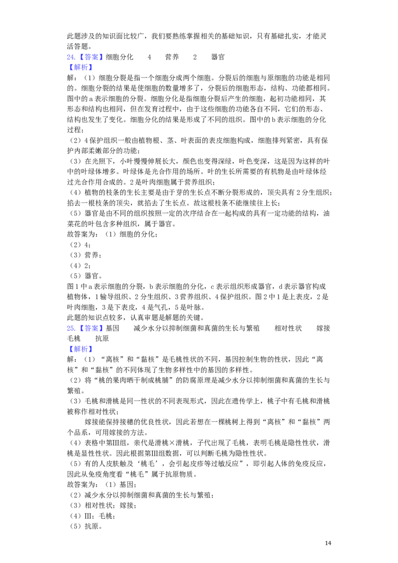 河南省开封市2019年中考生物真题试题（含解析）_8.生物中考真题2015-2024年_2019年全国中考生物92份